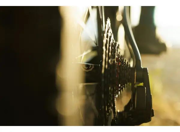Ibis Ripley V5 XTR Di2 Mountainbike Green Flash