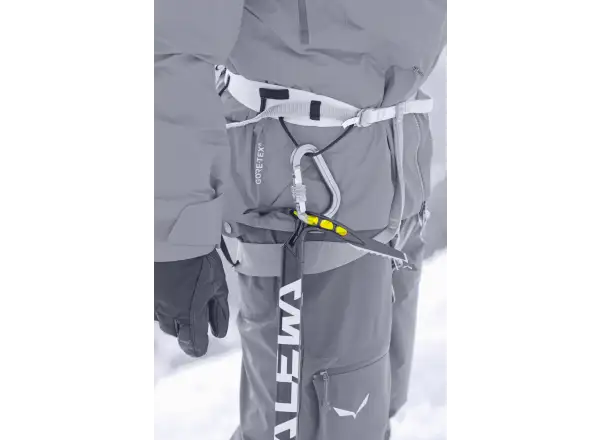 Salewa Alpine-X Eispickel