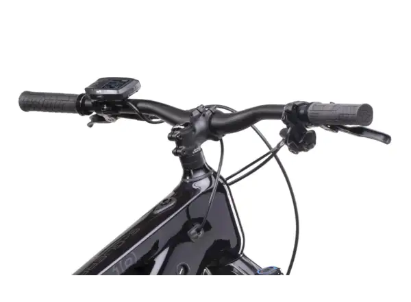 Crussis e-Guera 10.10-L (900 Wh) Mountain-E-Bike