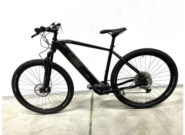 4EVER Esword Team 835 elektrisches Mountainbike Pearlized schwarz/silver 