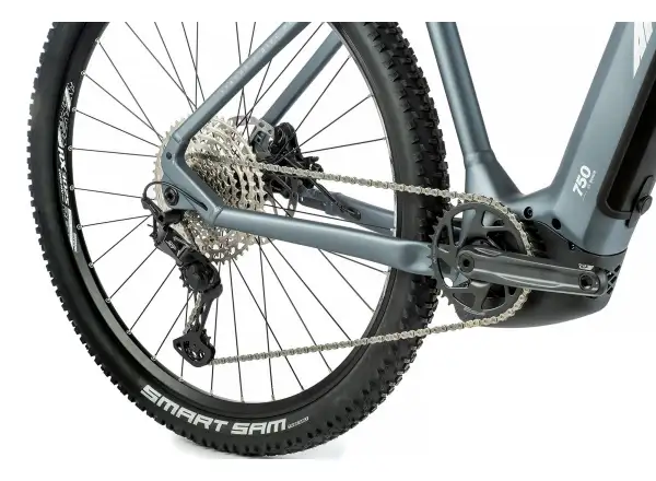 Apache Hupahu 1 SE Bosch Elektro-Mountainbike