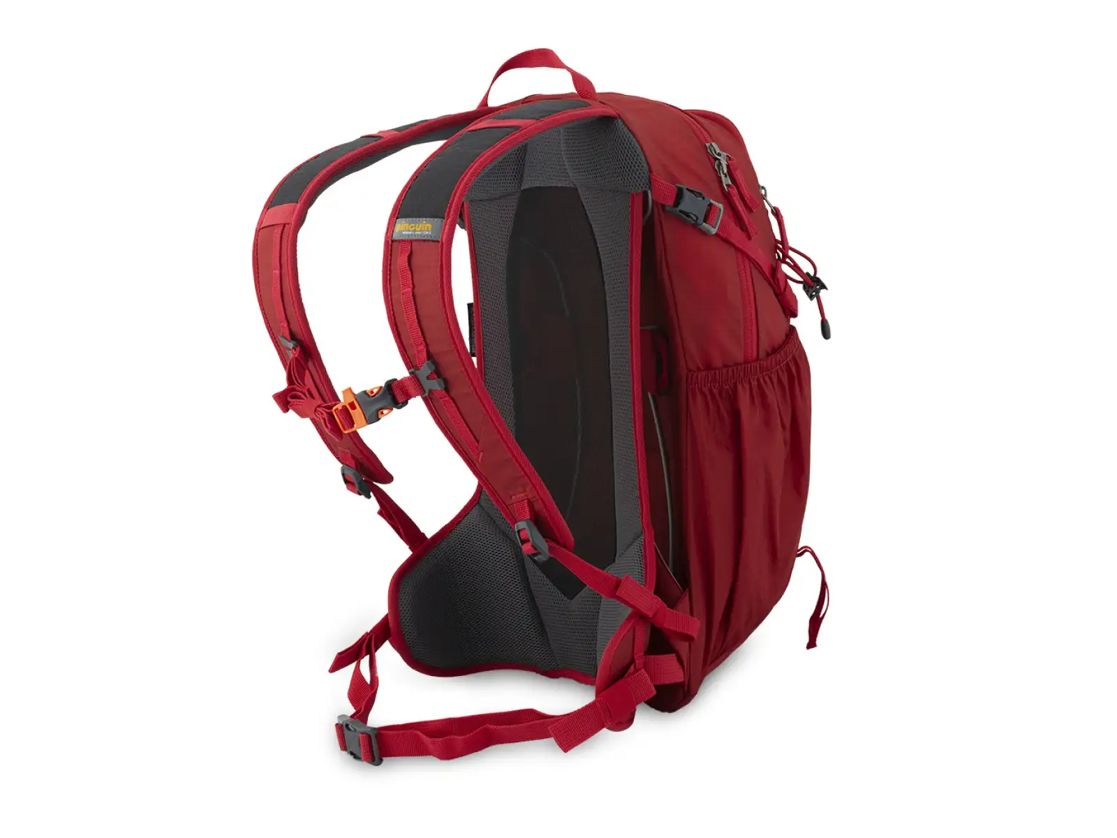 Pinguin Ride 19 Rucksack grün