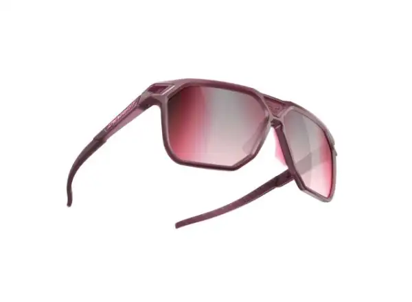 Dynafit Traverse Evo Goggles Port Royal/Pale Rose.