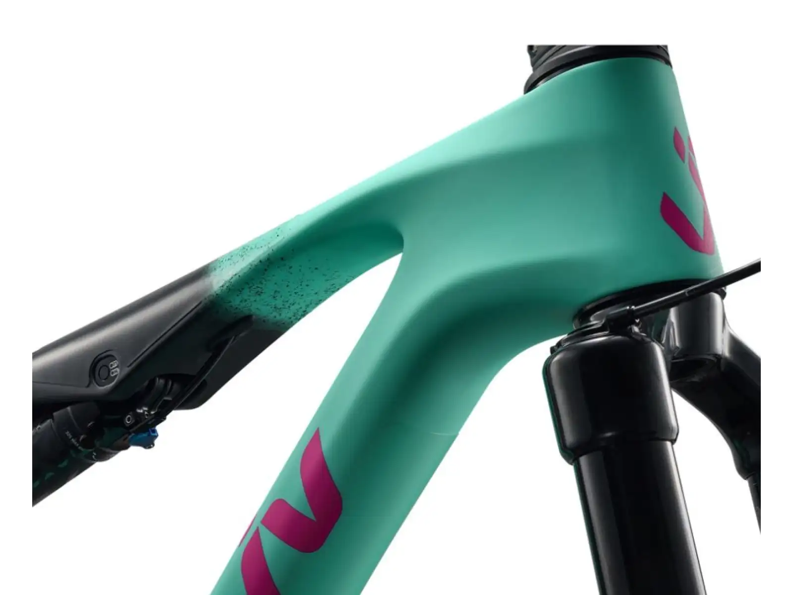 Liv Pique Advanced 1 Mountainbike Lake Green / Black