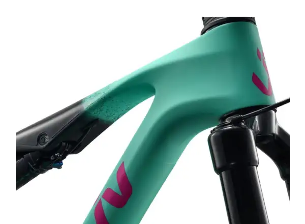 Liv Pique Advanced 1 Mountainbike Lake Green / Black
