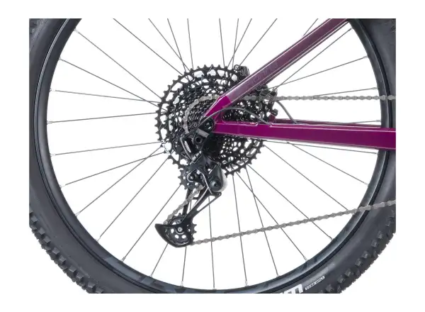 Crussis e-Fionna AX 9.12-M2(600) Mountain-E-Bike