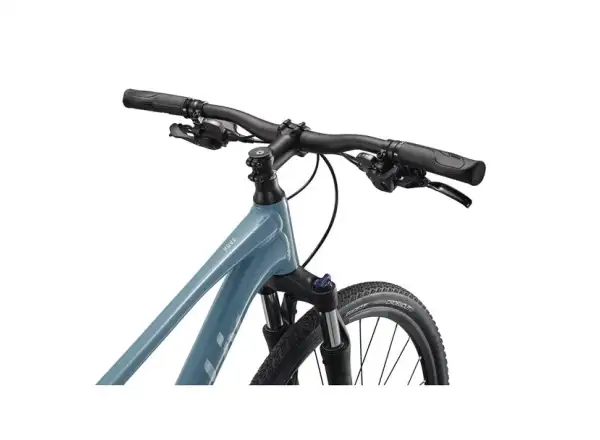 Giant Rove 2 Trekkingrad Storm Cloud