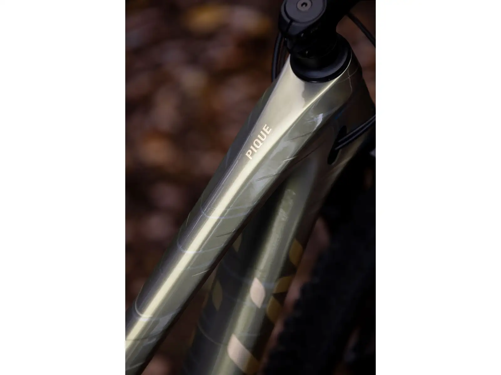 Liv Pique Advanced 29 2 Mountainbike Golden Haze
