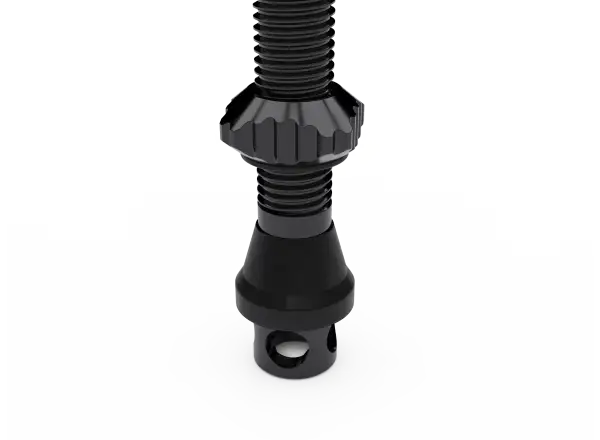 WTB TCS AL Max-Flow Presta Ventile für schlauchlos 55 mm schwarz 2 Stk.