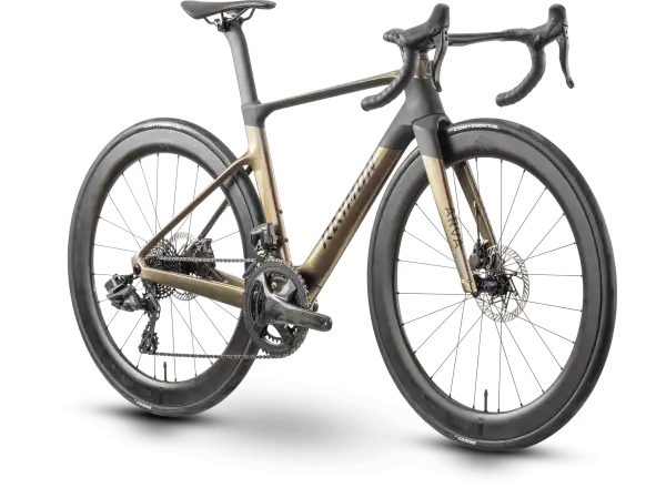Raymon Arva Elite 26s Record Rennrad carbon/champagne