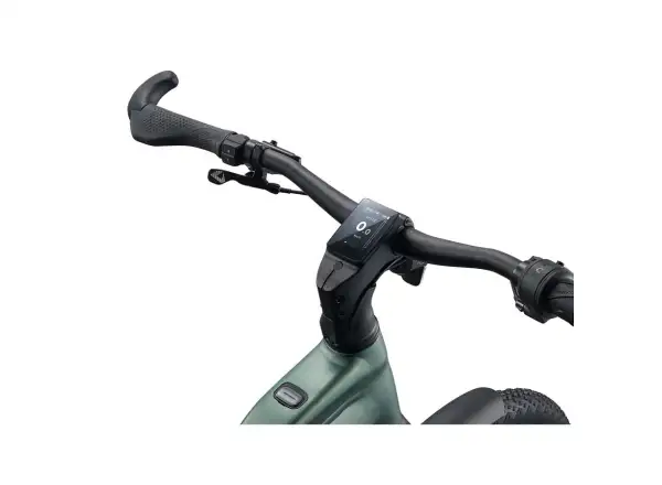 Giant Explore E+ 2 STA Trekking-E-Bike Alpine Green