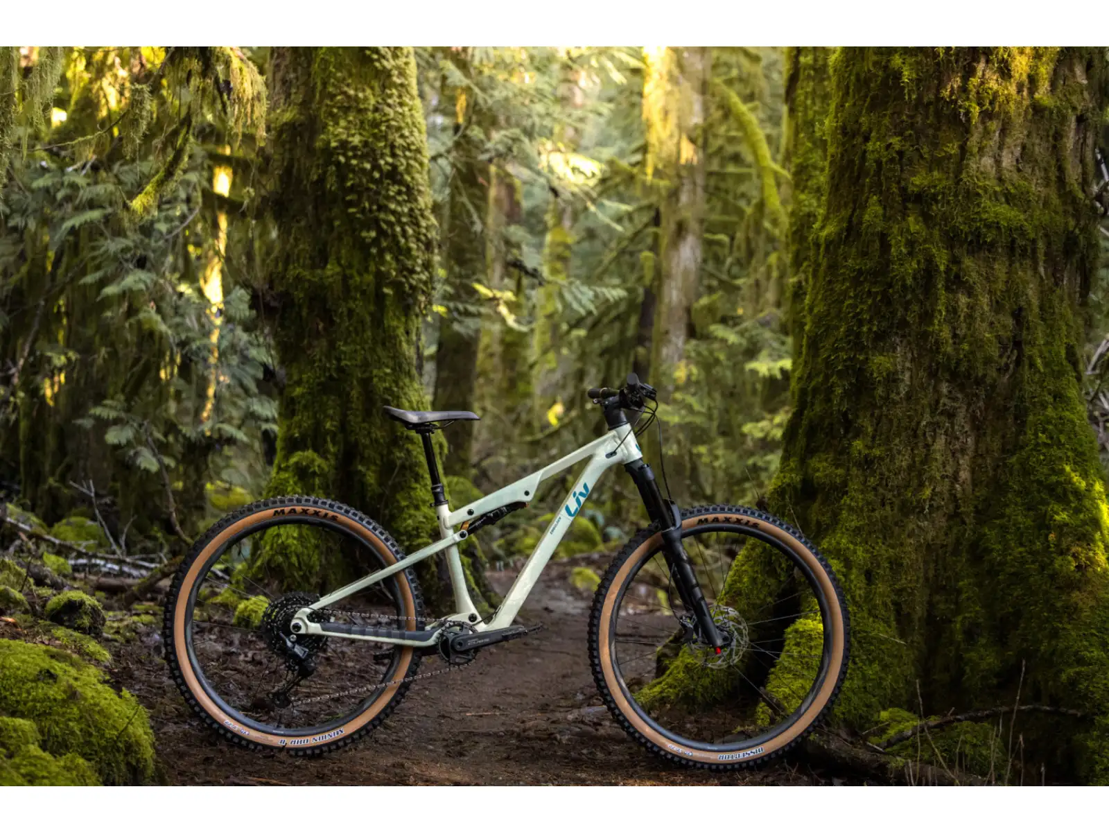 Liv Embolden 2026 Mountainbike Pale Moss