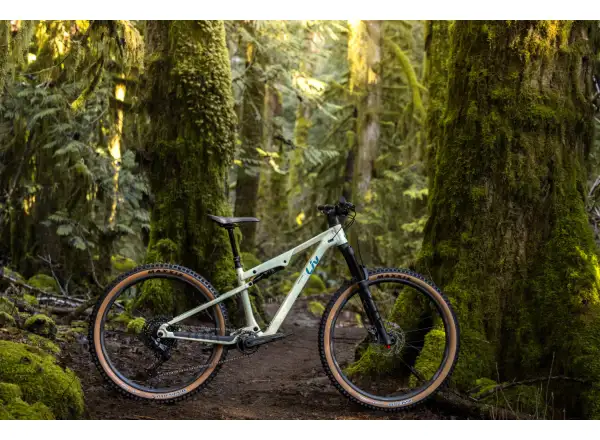 Liv Embolden 2026 Mountainbike Pale Moss