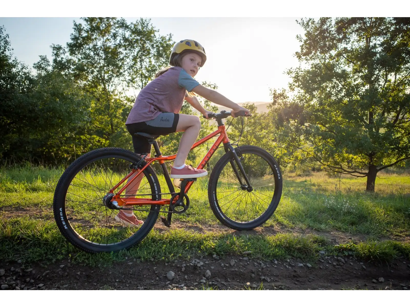 Rascal 26 7 sp. Shimano Nexus Kinderfahrrad Flame