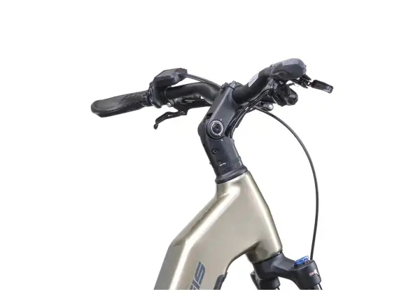 Crussis e-Country AX 8.12-M2(800) City-E-Bike