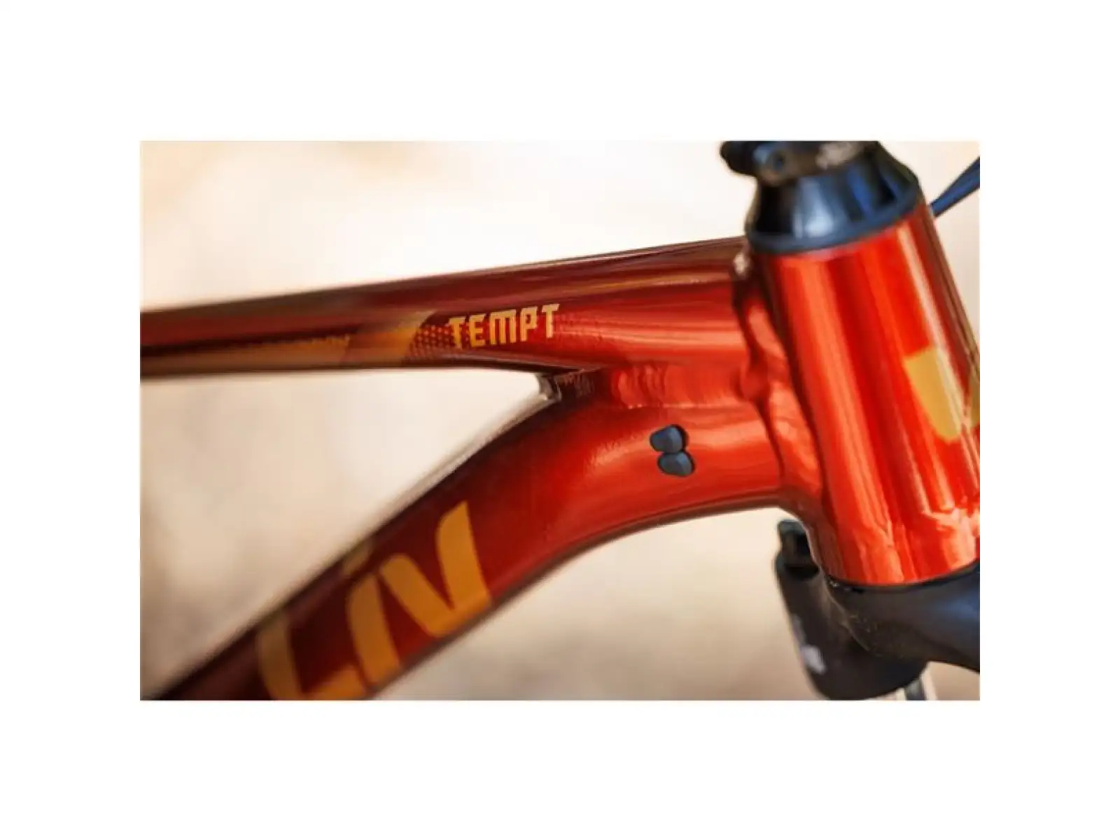 Giant Tempt 29 2 Mountainbike Mars Dust