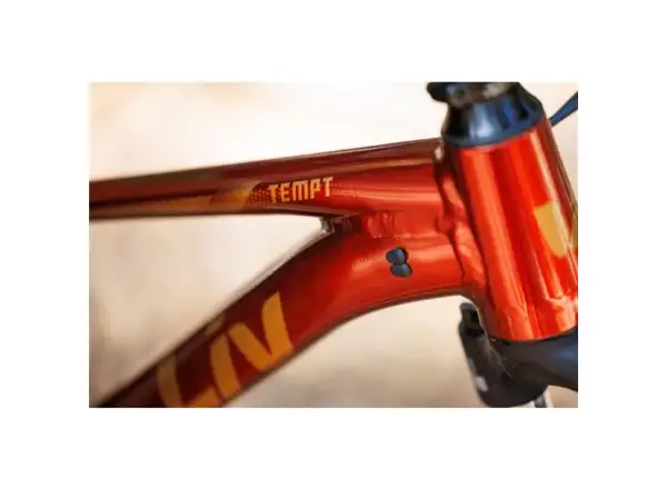 Giant Tempt 29 2 Mountainbike Mars Dust