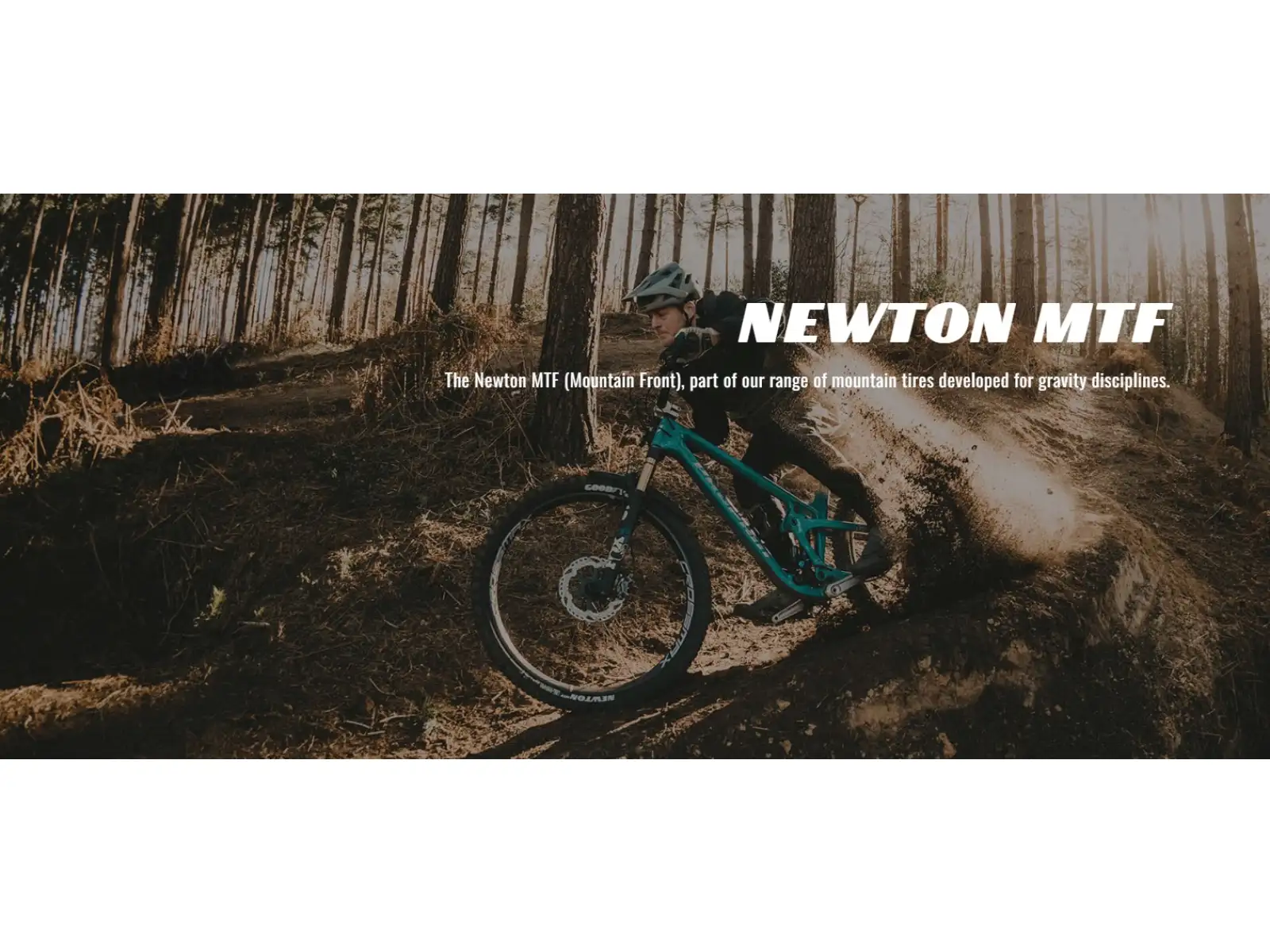 Goodyear Newton MTF Trail Tubeless Complete 27,5x2,50" MTB Reifen mit Kevlar