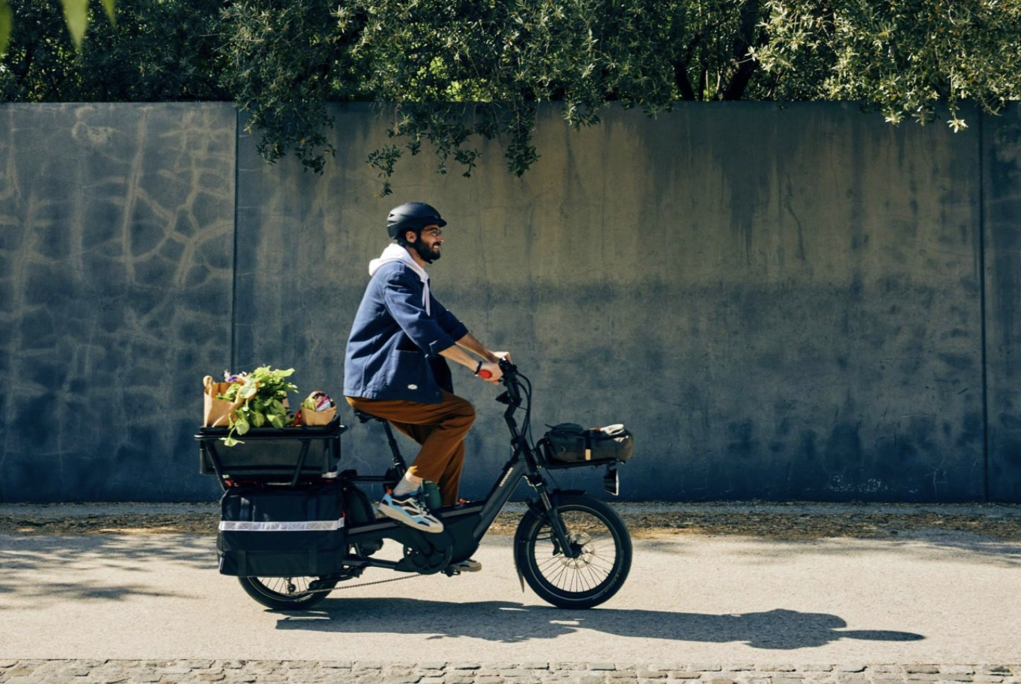 cannondale cargowagen neo